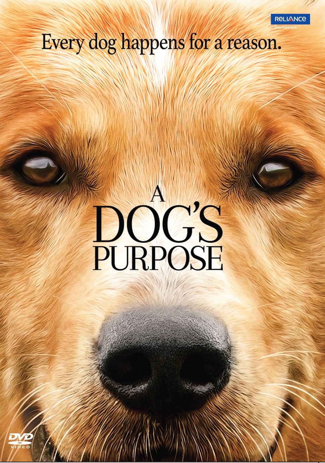 a-dogs-purpose-movie-purchase-or-watch-online