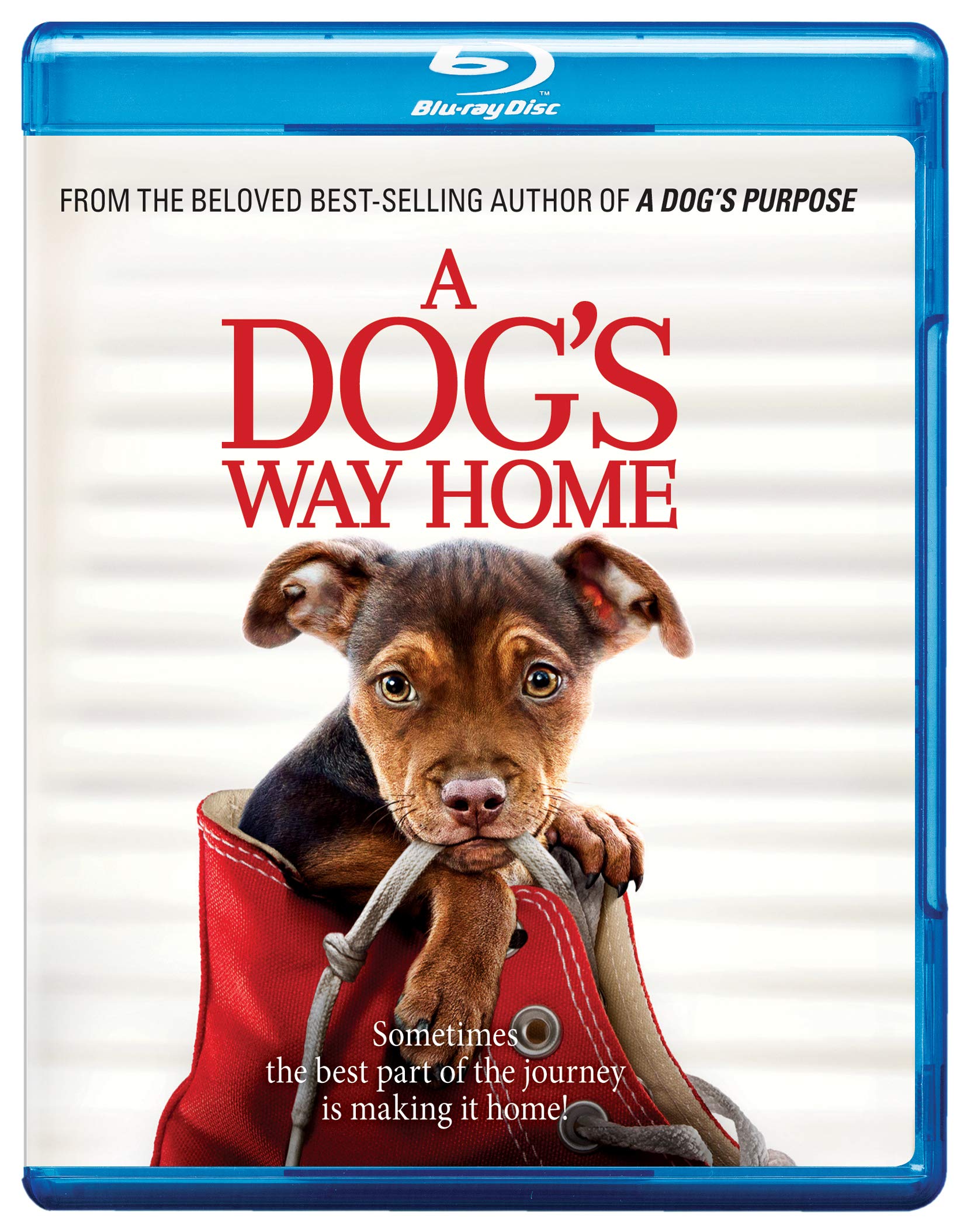 a-dogs-way-home-movie-purchase-or-watch-online