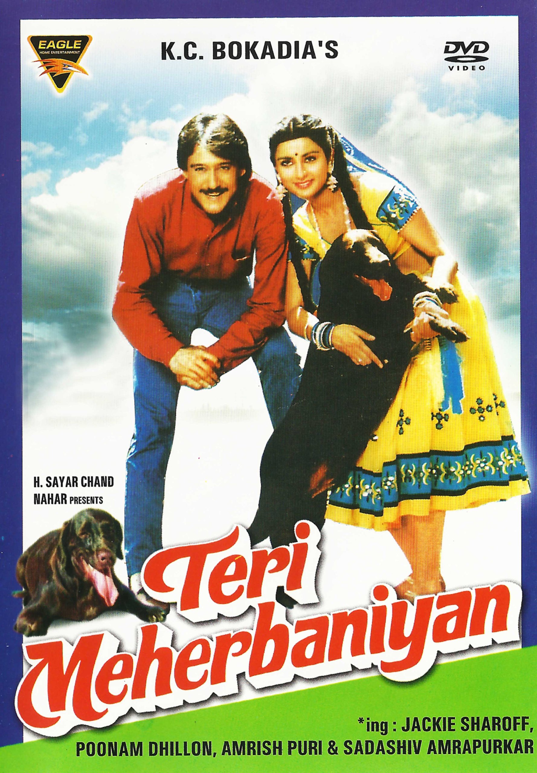 teri-meherbaniyan-movie-purchase-or-watch-online